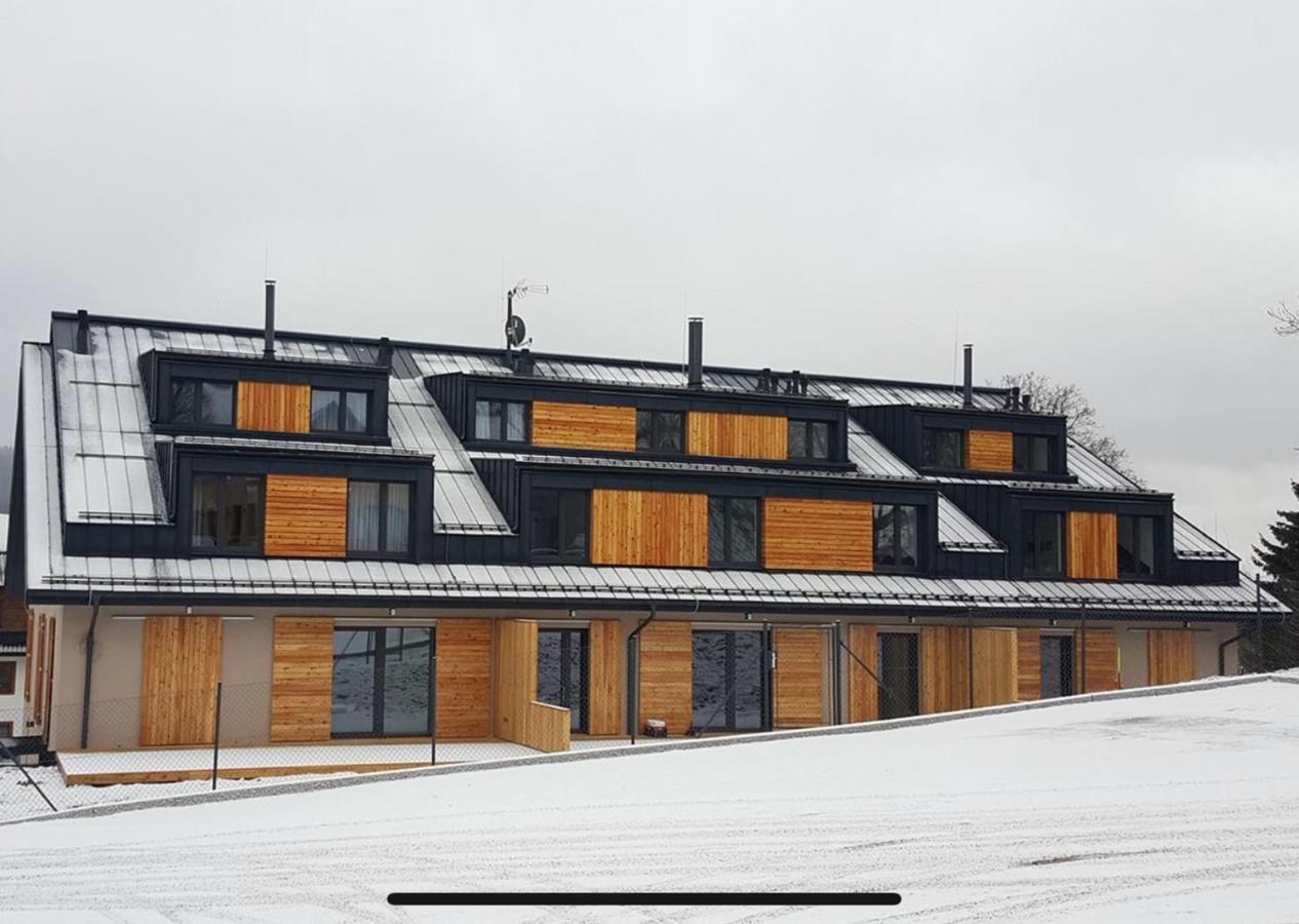 Sport Apartman Dm Dolni Morava Exterior photo